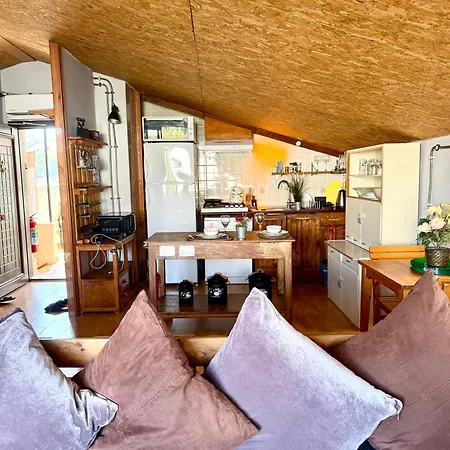 Merkez Deniz Yakini Muhtesem Teras Keyfi